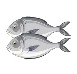 Seafood / Fresh Fish