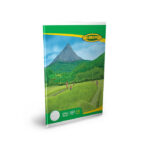 Homerun Book Exe (=) 160pg