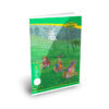 Homerun Book CR (=) 160pg