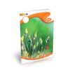 Atlas A4 Book CR 400Pgs (=) Single Ruled
