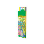 Homerun 6 Colour Pencil