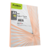 ProMate Colour Paper Rose 80GSM 250 Sheets Pack